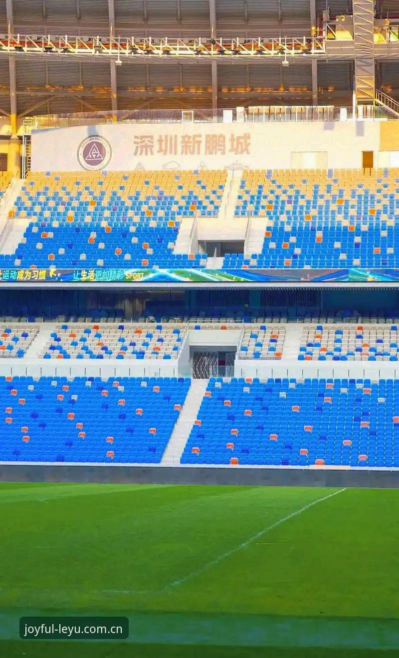 乐鱼体育平台观赛指南：从世界杯签证危机看2024年赛事观看策略